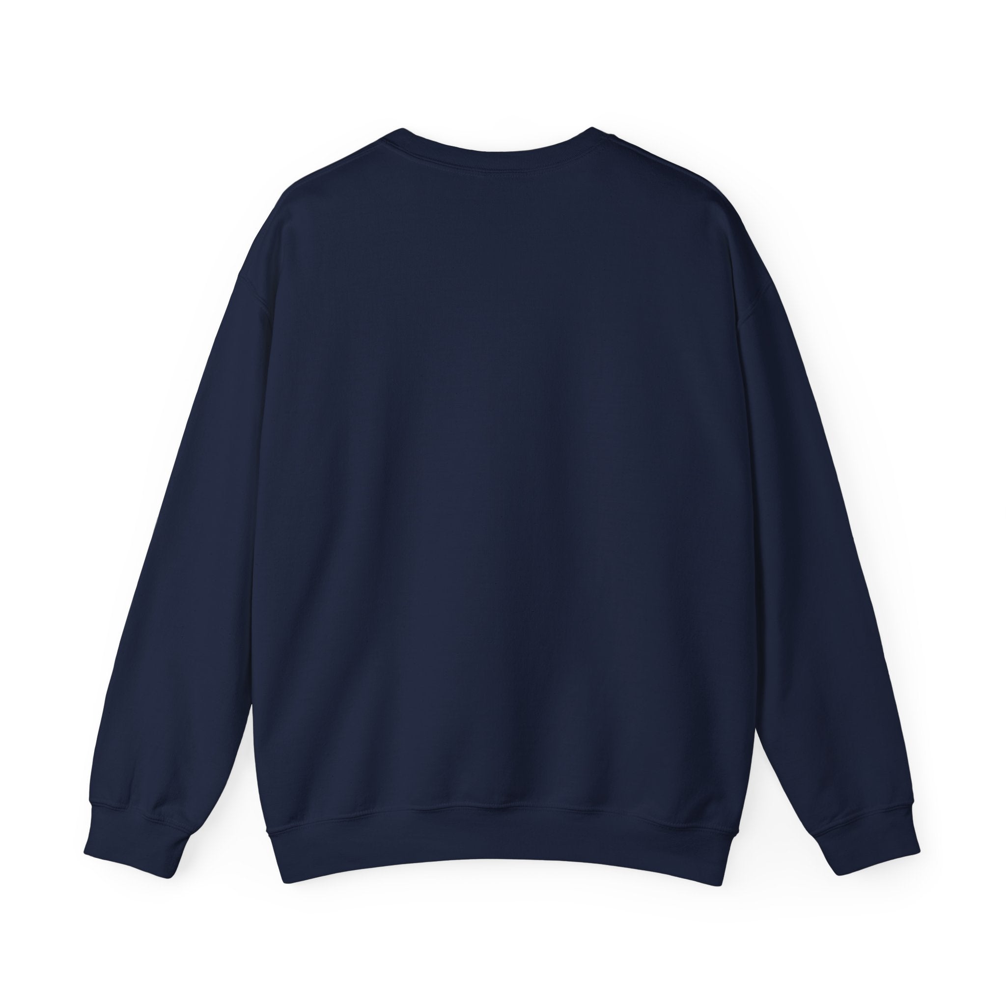 Affirmation Sweatshirt - Year 2025 Manifesting Goals Vibes Peace Destiny