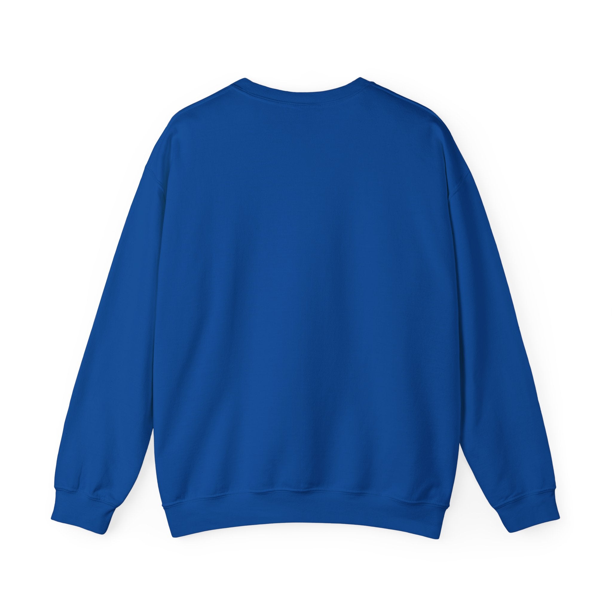 Affirmation Sweatshirt - Year 2025 Manifesting Goals Vibes Peace Destiny