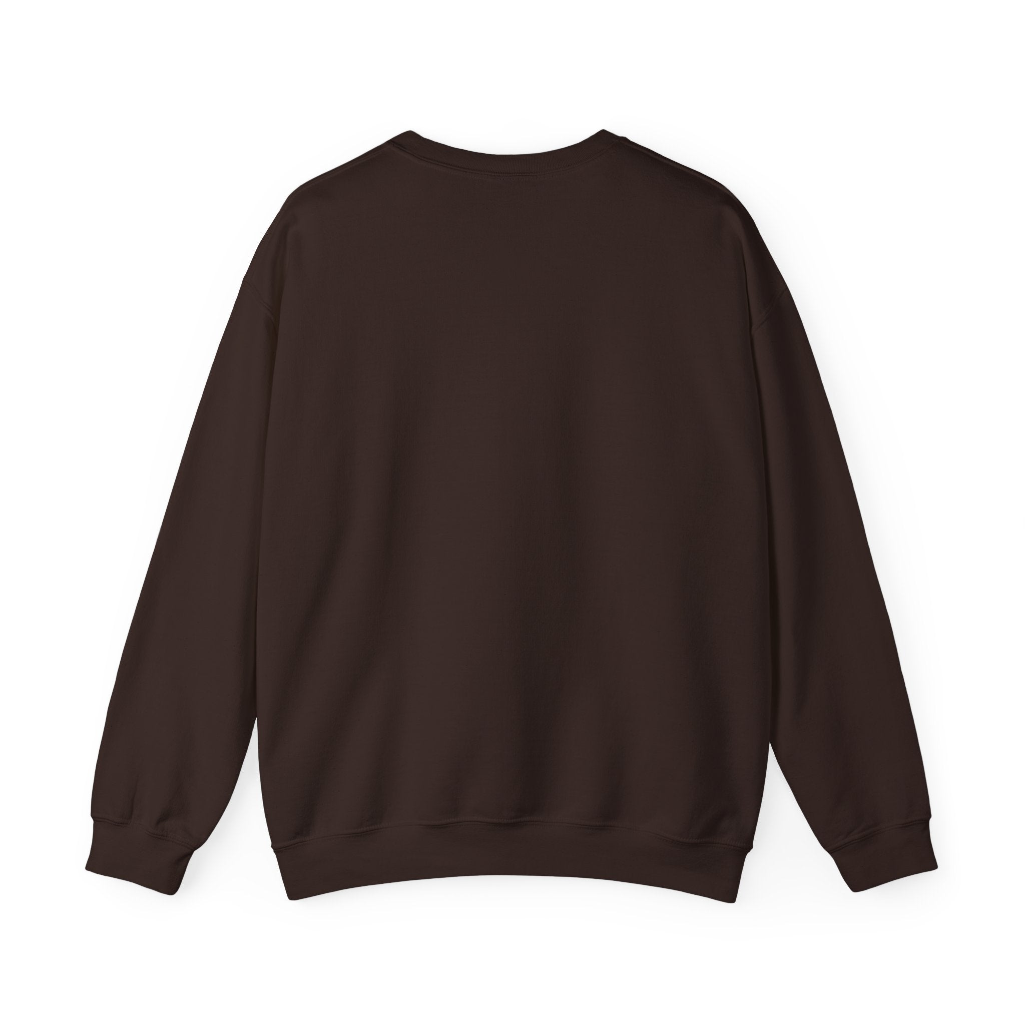Affirmation Sweatshirt - Year 2025 Manifesting Goals Vibes Peace Destiny
